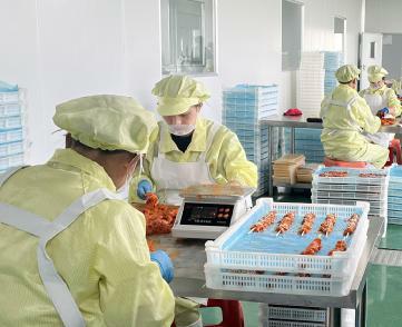 ����ᡤjinnian(�й�)�ٷ���վ