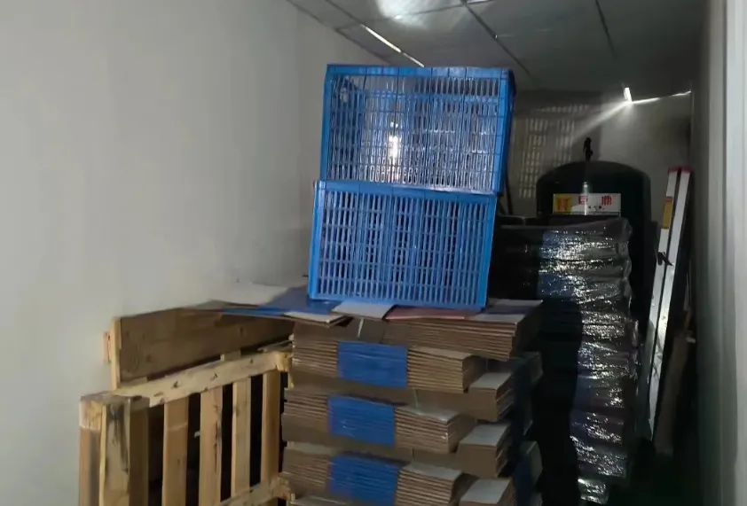 ����ᡤjinnian(�й�)�ٷ���վ