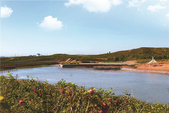 ����ᡤjinnian(�й�)�ٷ���վ